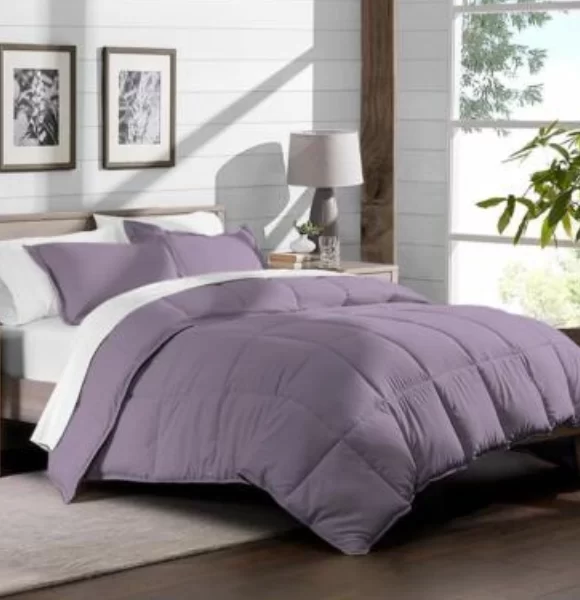 Fashion & Comfort Essentials